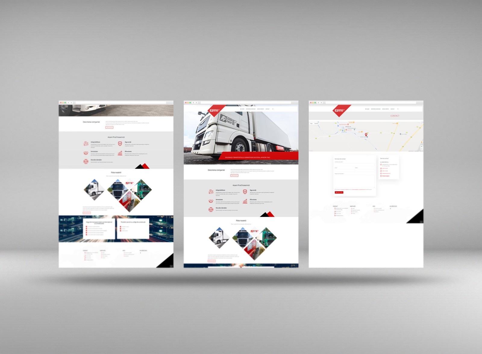 Site web de prezentare assenprod.ro